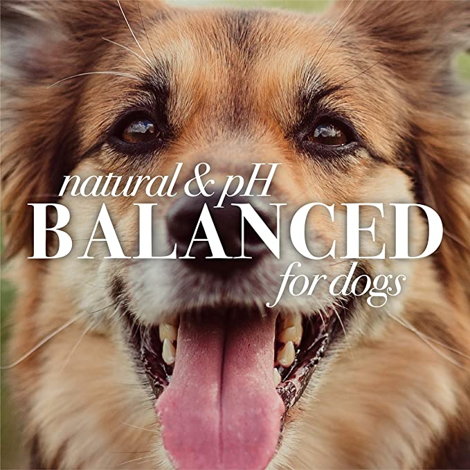 Burt's Bees for Dogs Natural Oatmeal Shampoo with Colloidal Oat Flour and Honey - Image 4