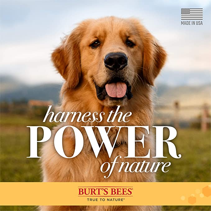 Burt's Bees for Dogs Natural Oatmeal Shampoo with Colloidal Oat Flour and Honey - Image 6