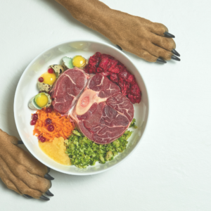 Natural and Organic Dog Food