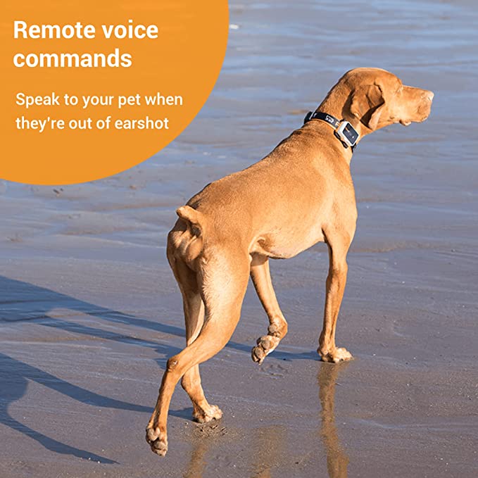 Pawfit 3s GPS Tracker for Dogs - Image 3