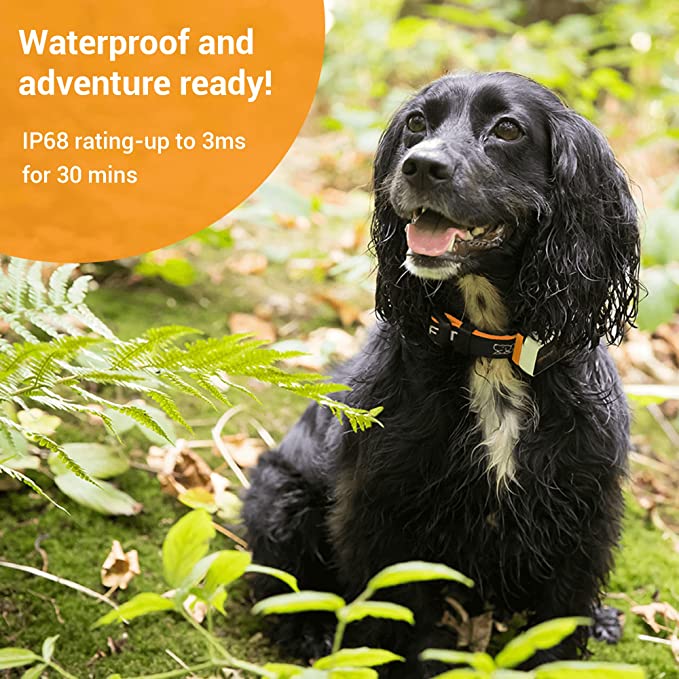 Pawfit 3s GPS Tracker for Dogs - Image 2