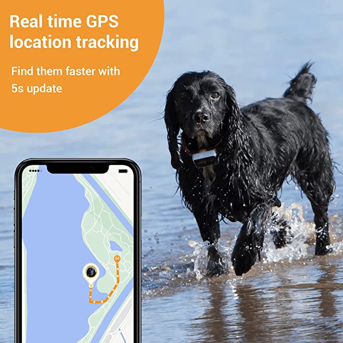 Pawfit 3s GPS Tracker for Dogs - Image 4