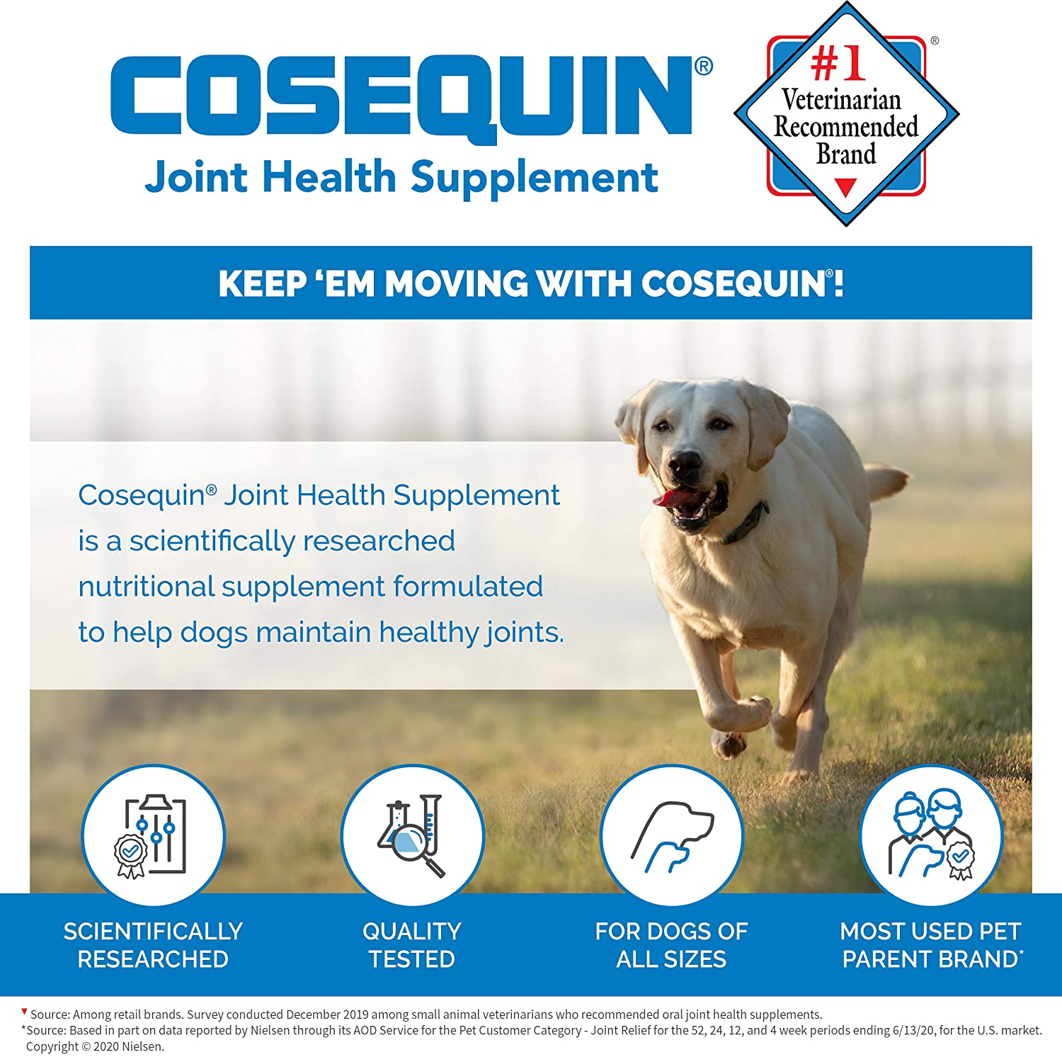 Nutramax Cosequin Joint Health Supplement - Image 4