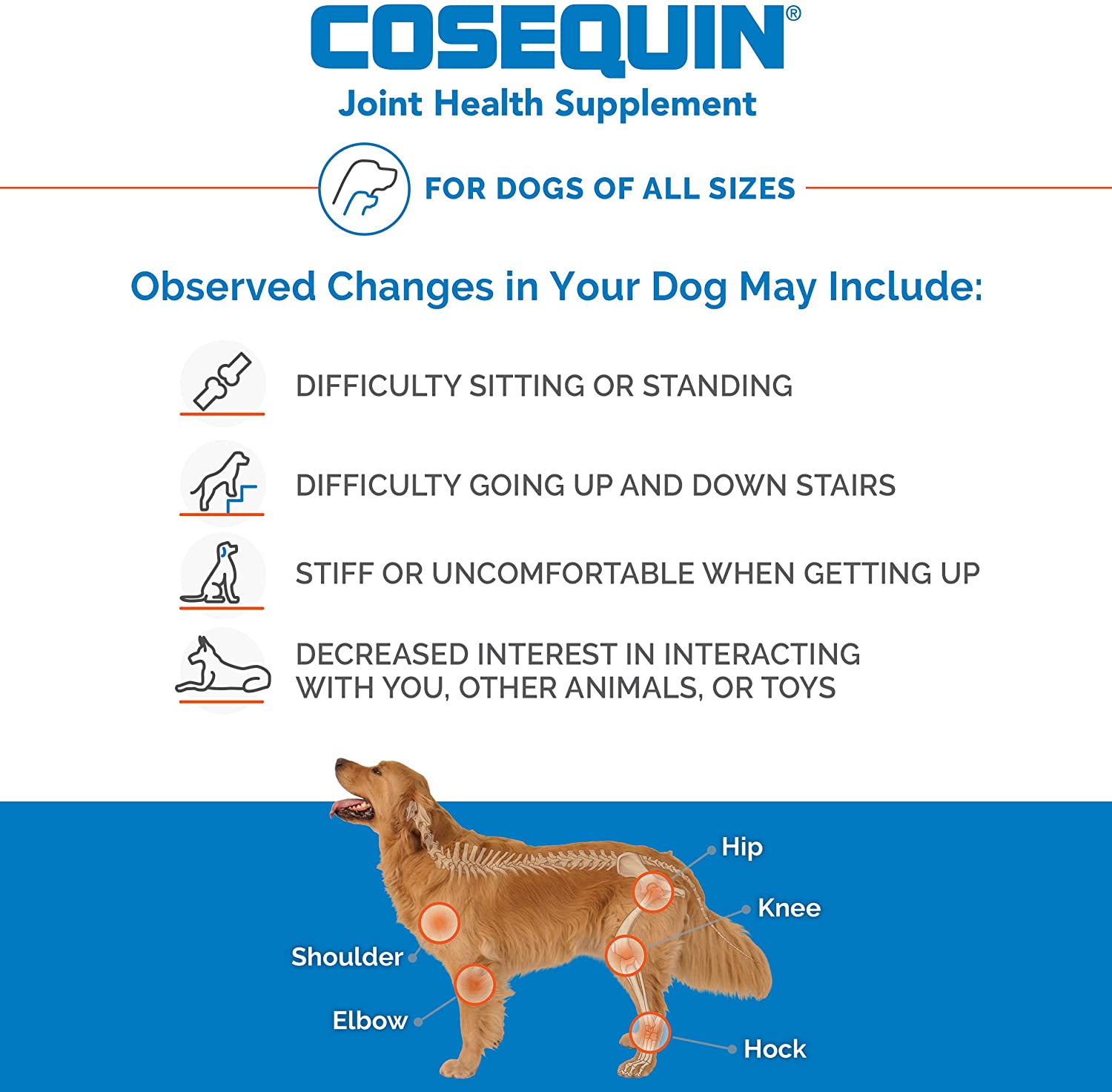 Nutramax Cosequin Joint Health Supplement - Image 5