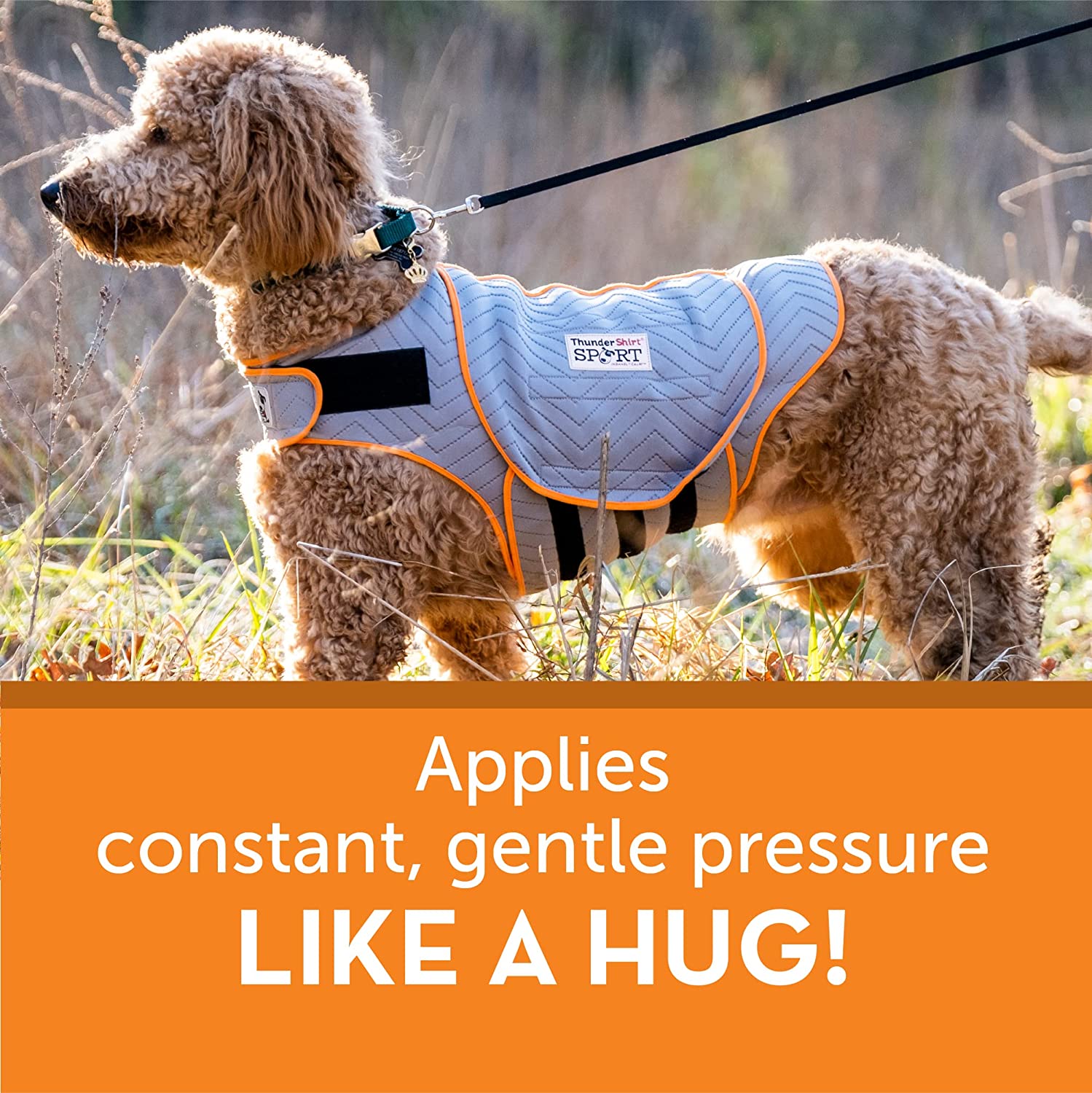 Thunder Shirt Sport Anxiety Jacket for Dogs - Image 2