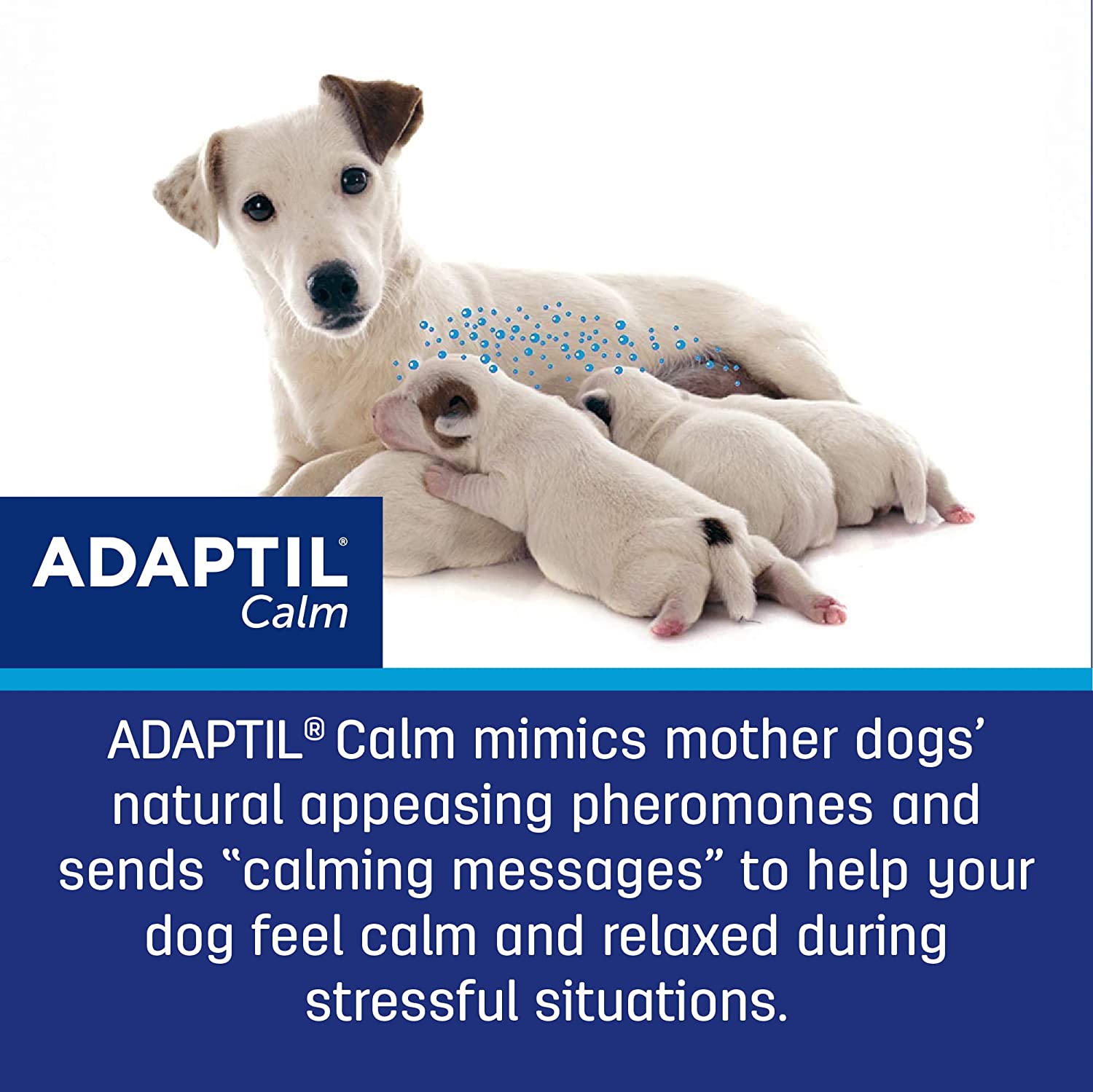Adaptil Calm On-the-Go Collar for Medium to Large Dogs - Image 3